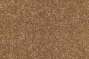 Ковролин AW Gaia Equinox 80 фото  | FLOORDEALER